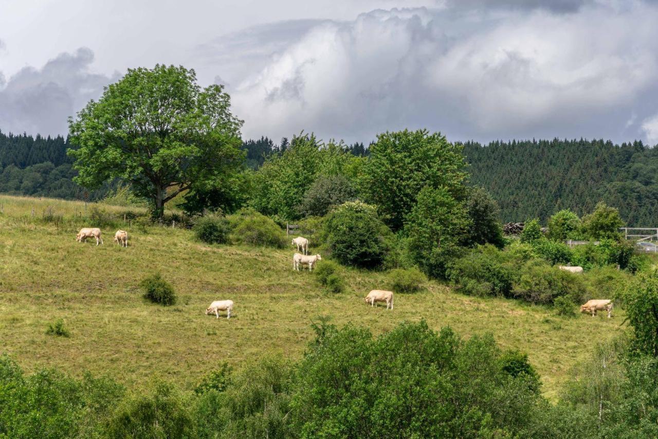 The Conscious Farmer Bed And Breakfast Sauerland Willingen  Eksteriør billede