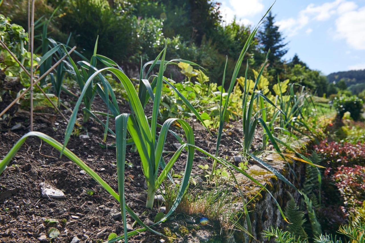 The Conscious Farmer Bed And Breakfast Sauerland Willingen  Eksteriør billede