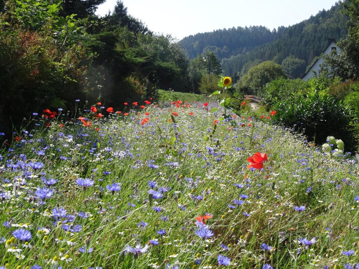 The Conscious Farmer Bed And Breakfast Sauerland Willingen  Eksteriør billede