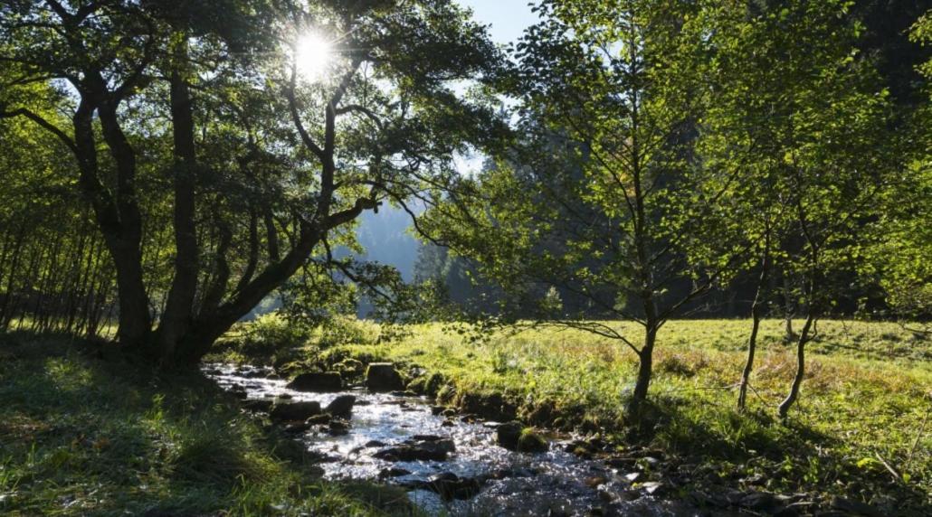 The Conscious Farmer Bed And Breakfast Sauerland Willingen  Eksteriør billede