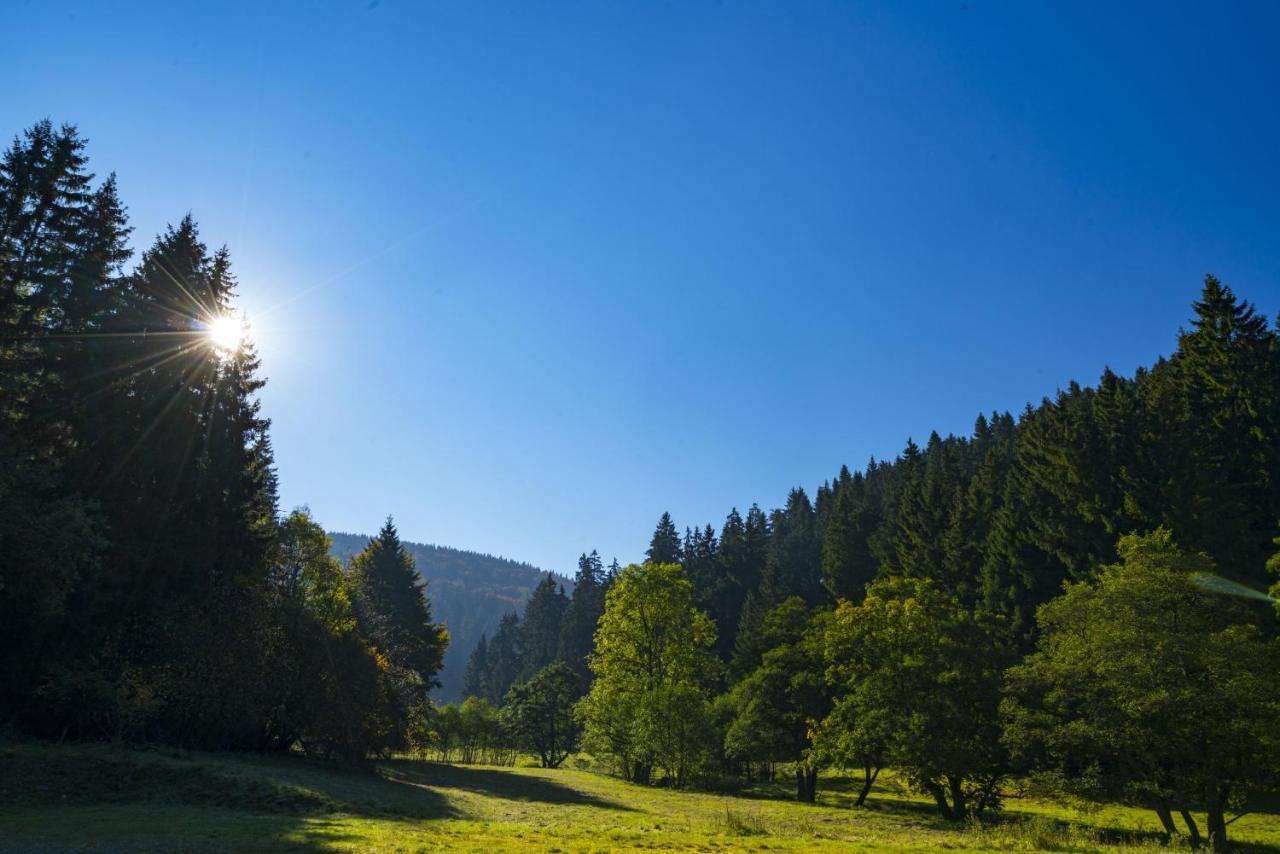 The Conscious Farmer Bed And Breakfast Sauerland Willingen  Eksteriør billede